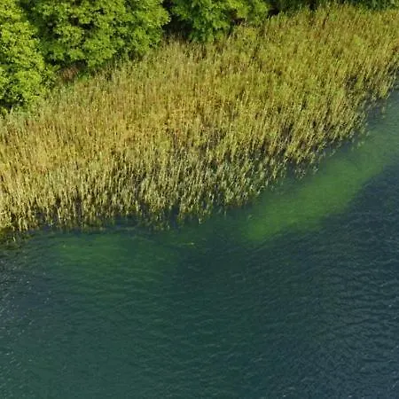 Betullahouse Willa *