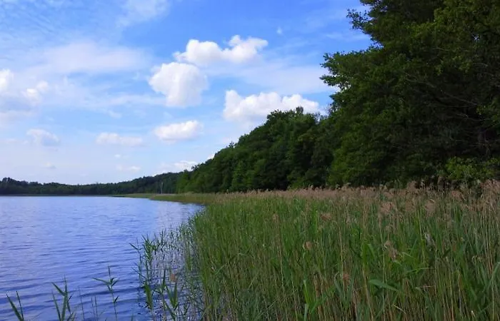 Betullahouse Nakielno